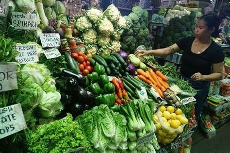 キャベツ 値段 今日 - 野菜の値段が宇宙旅行の鍵を握る？