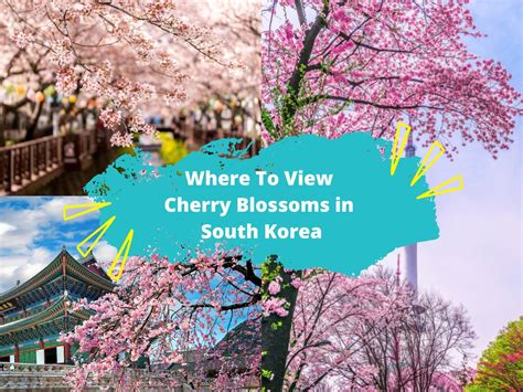 韓国 4月 気温: 桜の季節と気候変動の微妙な関係